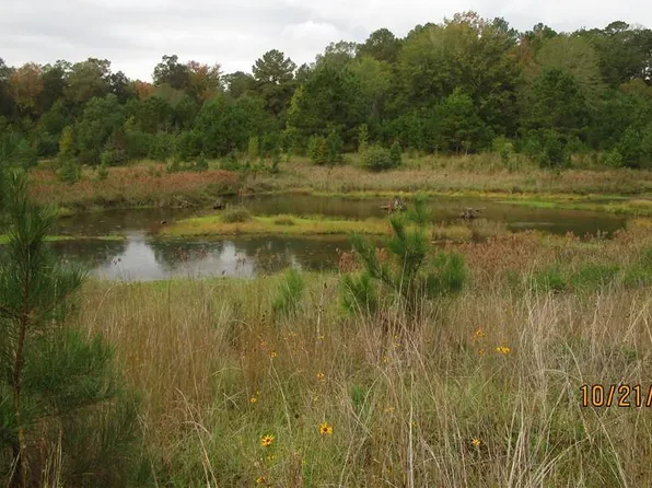 740 Mary Barron Rd, Pollock, LA 71467