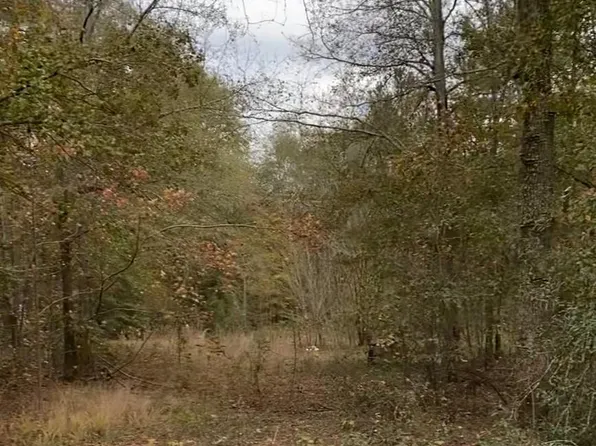 537 Ramsey Rd, Jackson, SC 29831