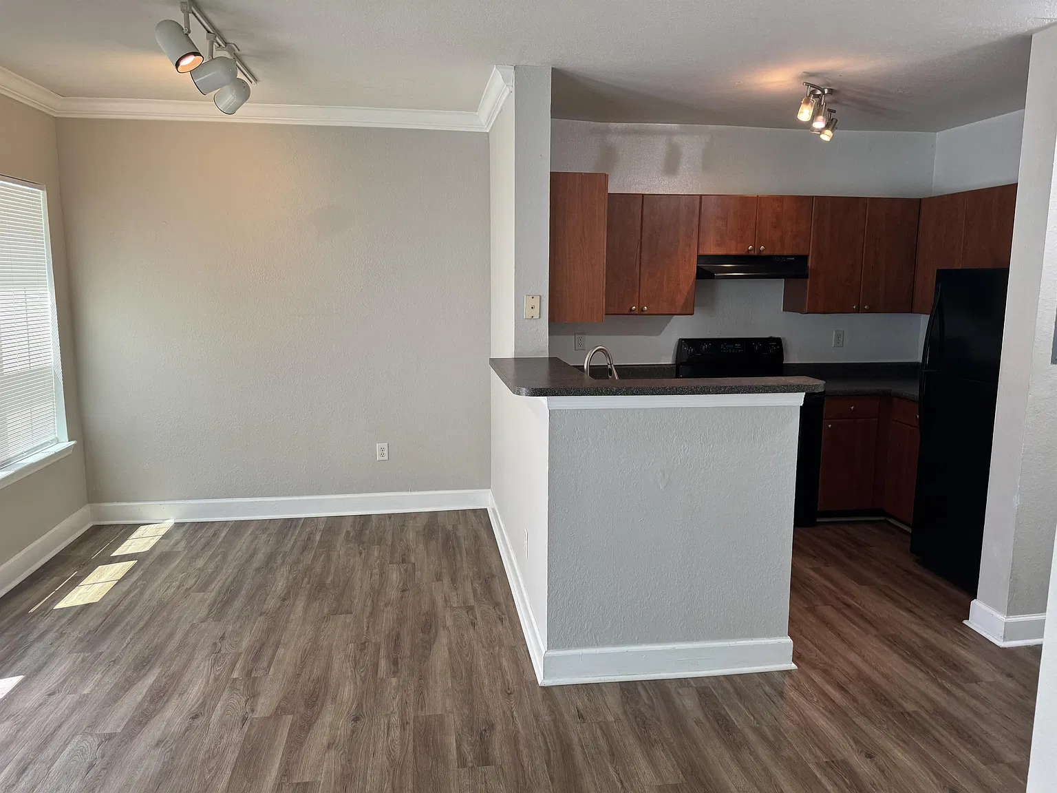 1 bed, 667 sqft, $1,450 — Photo 3