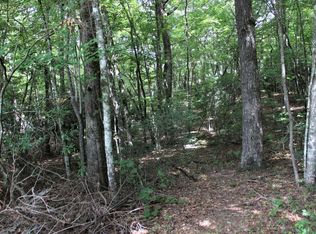 11 Penland Indian Trl, Hayesville, NC 28904