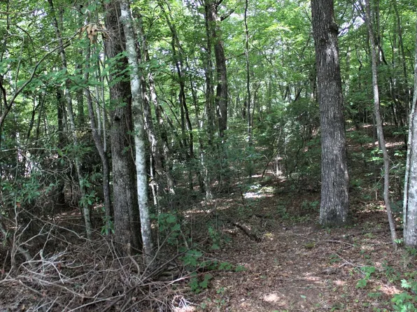 11 Penland Indian Trl, Hayesville, NC 28904