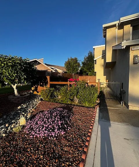 37840 Essanay Pl — Photo 4