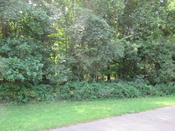 TRACT 1 Deep Woods Dr, Cassopolis, MI 49031
