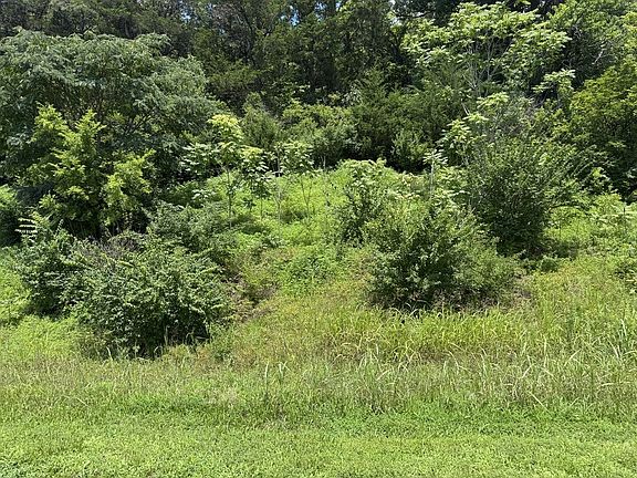 2nd image of 0 Liberty Pike