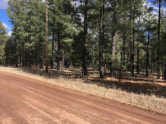 4th image of 31 County Road 2021