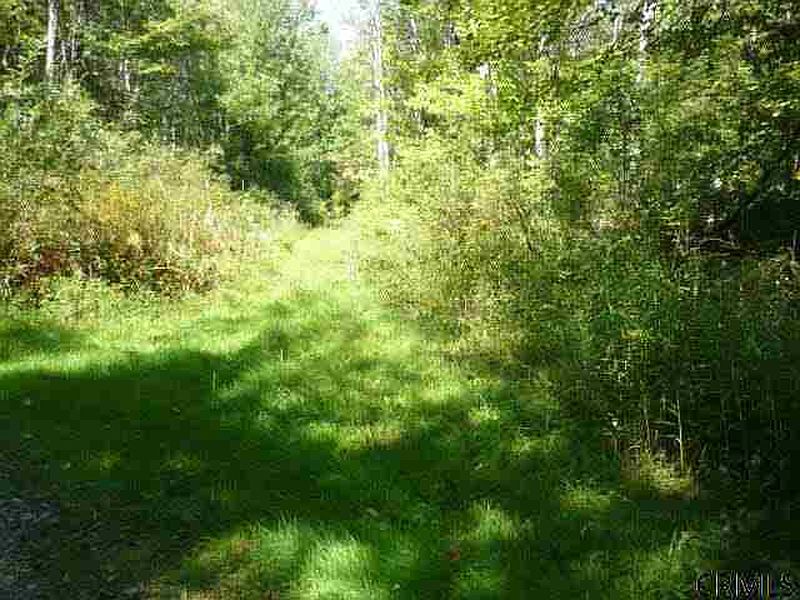 4th image of MCMILLAN Road