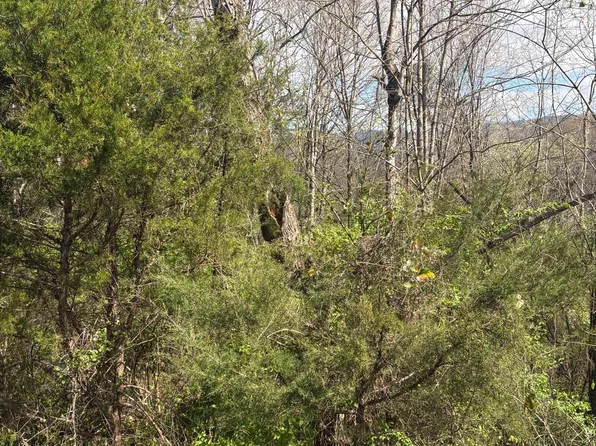 113 Alabama Ave, Etowah, TN 37331