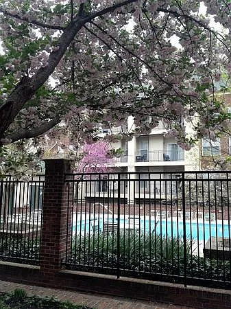 1321 N Adams Ct — Photo 1