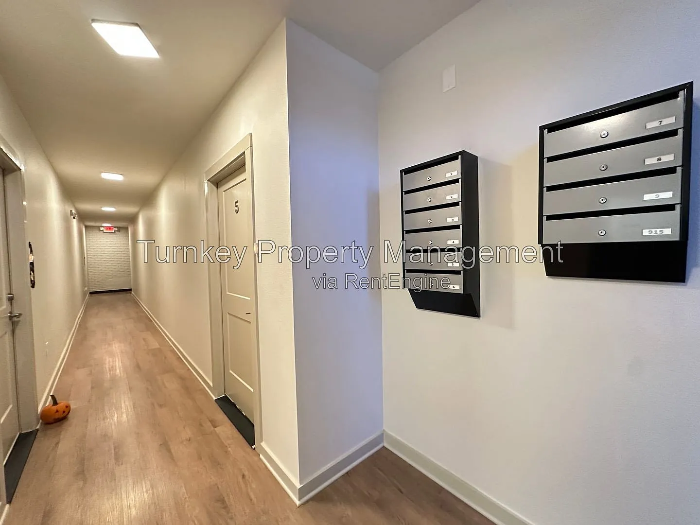 1 bed, 1.0 bath, 495 sqft, $950 — Photo 4