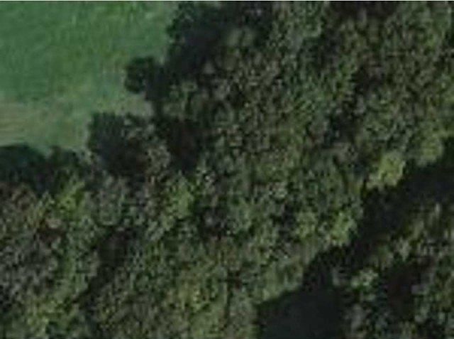 2nd image of Lynton Ln