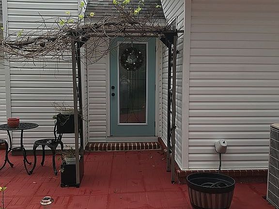 Rear patio with muscadine 