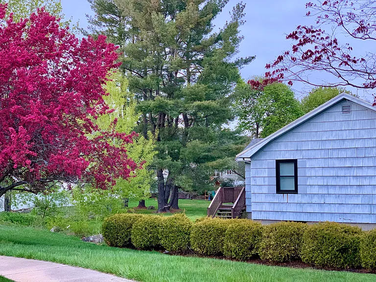 244 Green St — Photo 6