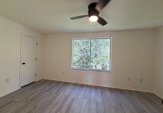 2734 Fan Palm Dr — Photo 6