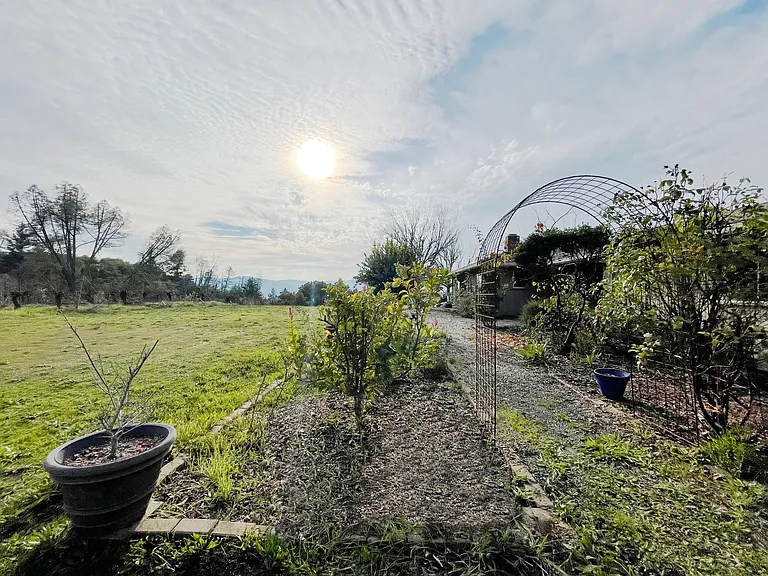 24401 Rich Ranch Rd — Photo 49
