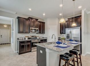 3389 Janna Grace Way, Land O Lakes, FL 34638