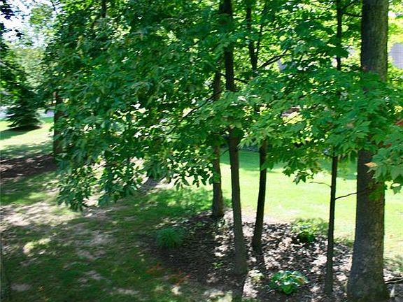 5th image of 924 Woodridge Hills Dr