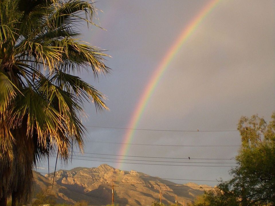 Wonderful view of Catalinas
