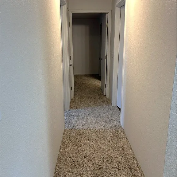 Berry Ridge — Photo 15