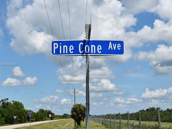 4th image of 142 Pine Cone Ave