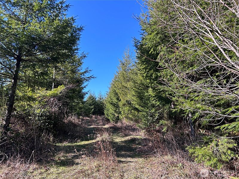 5th image of 0 NKA Salmon Creek Road