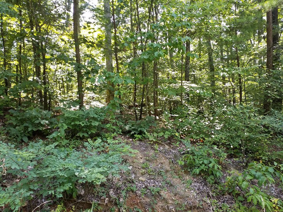 1st image of Chilhowee Trl