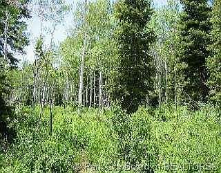 1st image of 143 Pine Meadow Dr #S-143-5