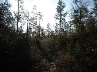 8982 Walker Ave, Cleveland, TX 77328