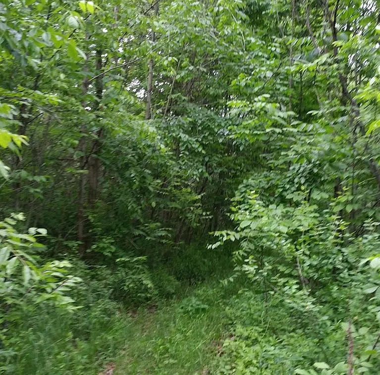 7300 Bunton Rd photo 1