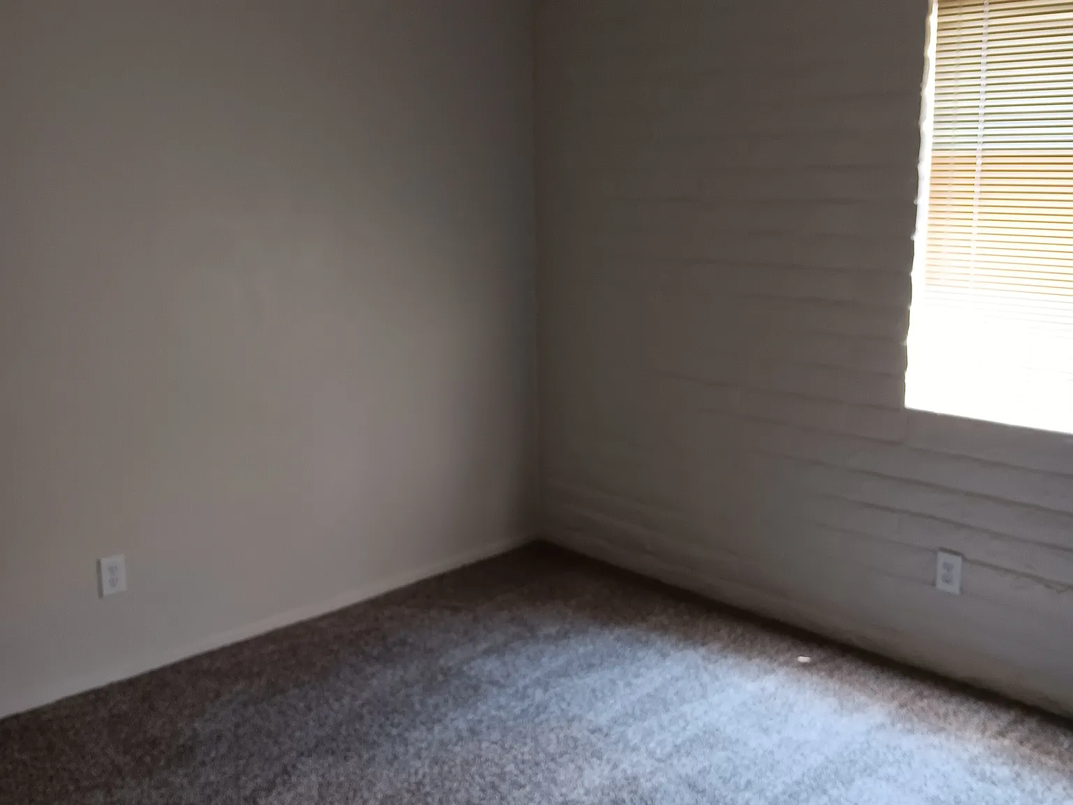 2 bed, 1020 sqft, $1,100 — Photo 2