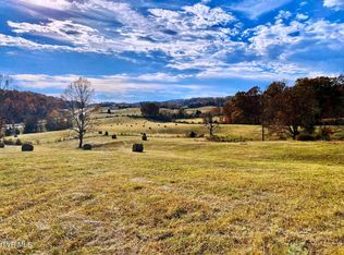 W State Route 1, Surgoinsville, TN 37873