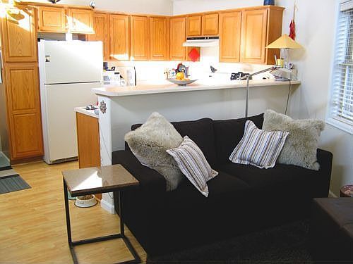 Living and kitchen behind