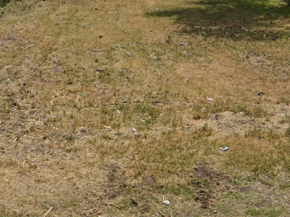 1st image of 314 Cactus St