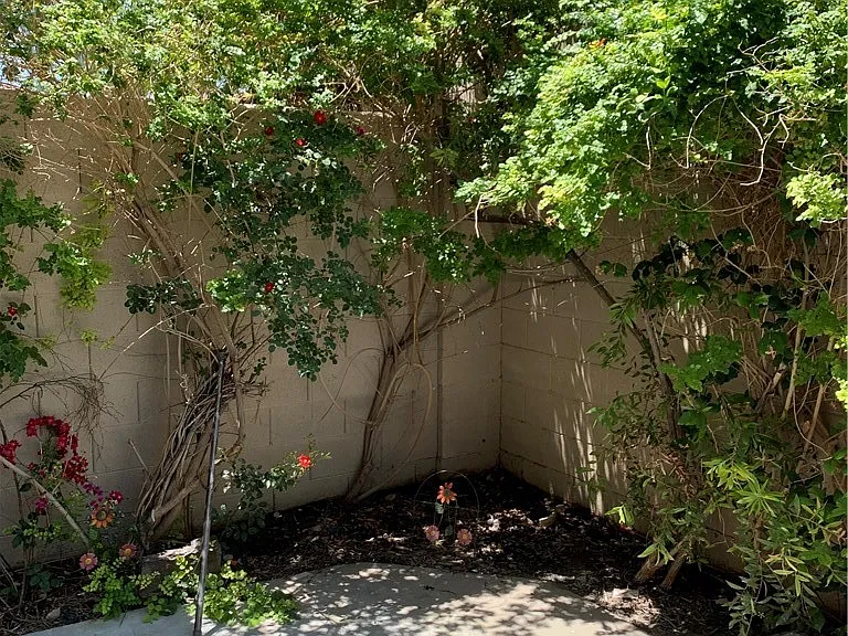 7617 Allerton Ave — Photo 4