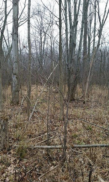 2nd image of W Royalton Rd