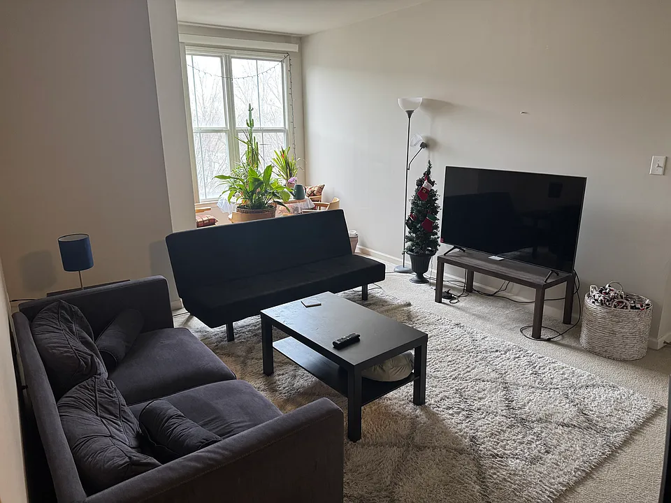 801 Walker Sq #3D