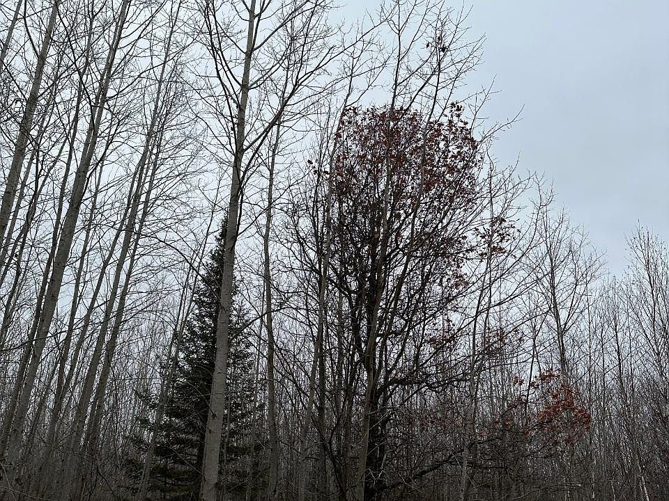 2nd image of Burrows Lake Rd #4067-A