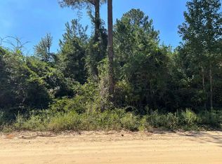 0 Largemouth Dr, Oakfield, GA 31772