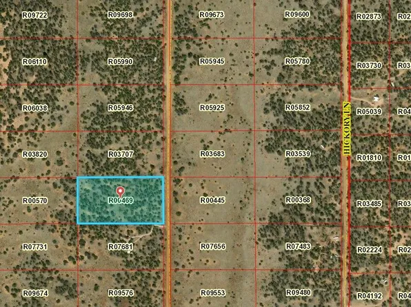 LOT 31 Country Ln, Pinehill, NM 87357