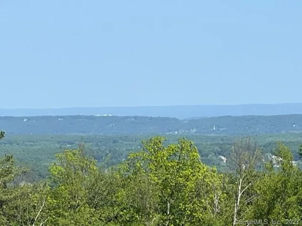 175 Great Pyrenees Way, Burlington, CT 06013