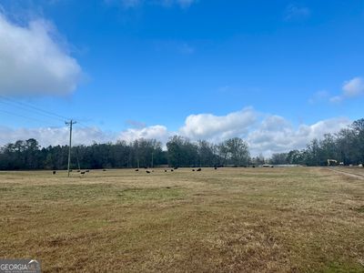 1111 Billy Merritt Rd, Greensboro, GA, 30642