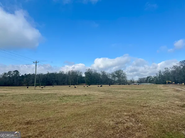 1111 Billy Merritt Rd, Greensboro, GA 30642