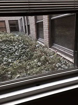 Sold by My New York City Apartments, Inc | media 13