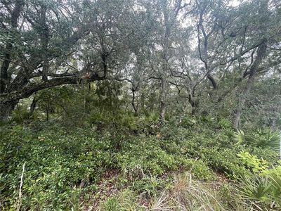 0 NE 114th Avenue Rd #14, Fort Mc Coy, FL, 32134