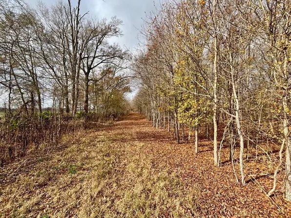 1509 Highway 128, Saint Joseph, LA 71366