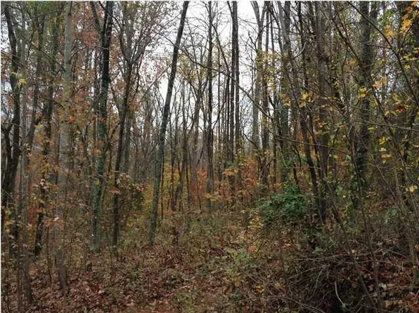 14 Coburntown Rd #14, South Pittsburg, TN 37380