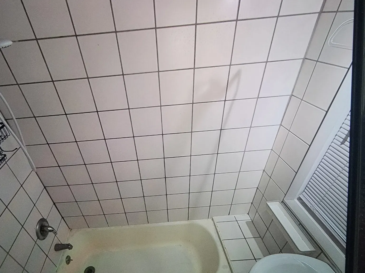 1 bed, 950 sqft, $1,600 — Photo 4