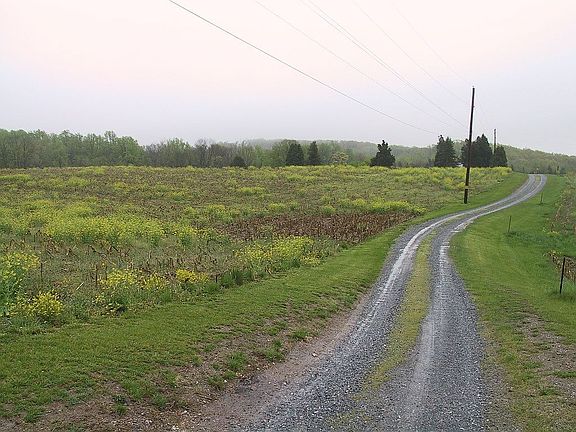 2nd image of 10701 Dorcus Rd