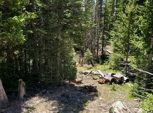 544 El Lobo Ln, Fairplay, CO 80440