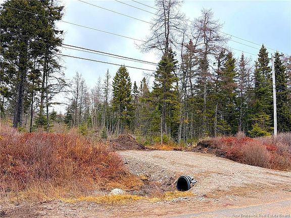 2nd image of Mink Brook Rd