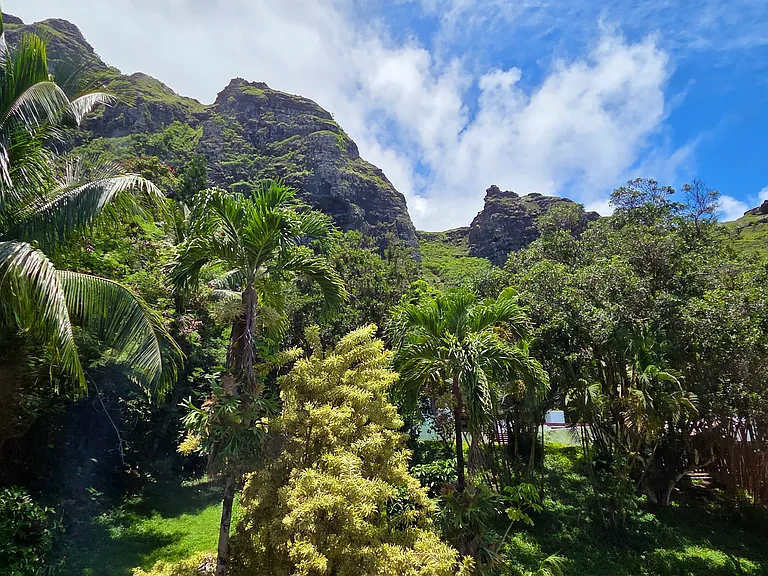 Tropical Garden and Crouching Lion View from Loft